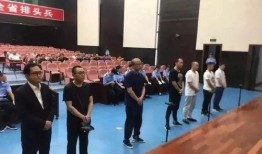 来宾创城爆料事件始末最新消息,最新进展与始末回顾