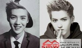 鹿晗吴亦凡最新爆料,揭秘娱乐圈背后的真相与秘密