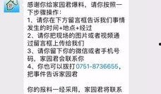 最新爆料文字图片,最新爆料图文背后的惊人真相