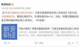 阿里最新爆料裁员员工,裁员风波下的员工生存现状揭秘