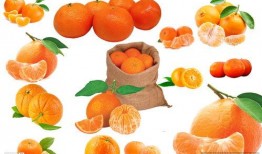 橘子最新爆料文案图片素材,明星幕后花絮大曝光！