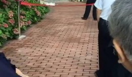 宜宾南溪爆料案件最新,真相渐明，疑云散去，正义终将到来